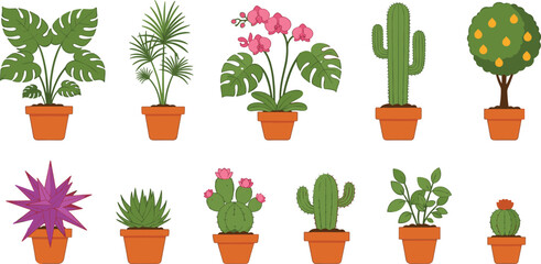 Potted houseplants and cactus collection indoor decorative plants vector illustration set © Shabita
