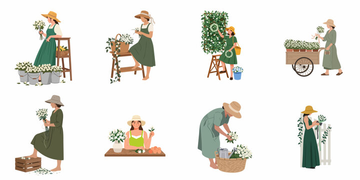 Collection of flat vector illustrations depicting women florists and gardeners working with fresh white jasmine flowers in various outdoor and indoor settings.