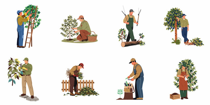 Flat vector illustration collection of male gardeners and farmers pruning, harvesting, and maintaining various trees and plants in a garden or farm setting.