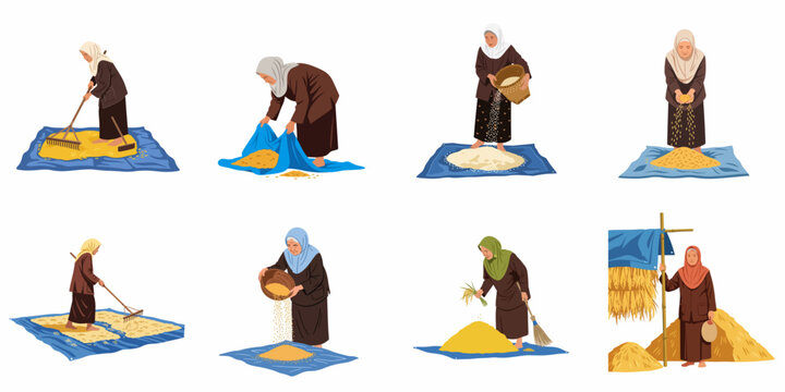 Collection of illustrations showing elderly Southeast Asian women in hijabs performing traditional post-harvest rice processing tasks like drying, winnowing, and raking grains.