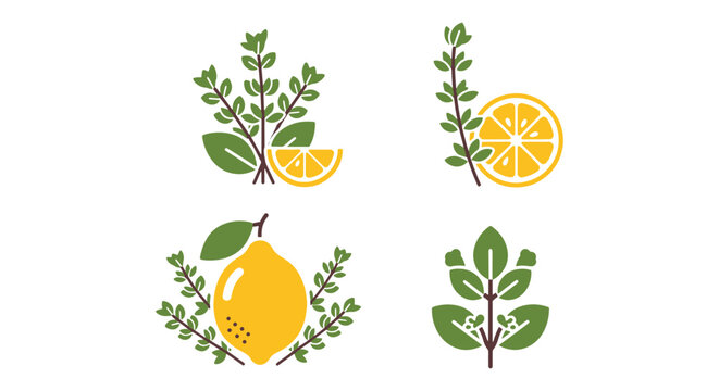 Lemon Thyme Line art vector minimal smooth abstract color illustration