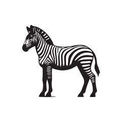 Obraz premium zebra vector illustration