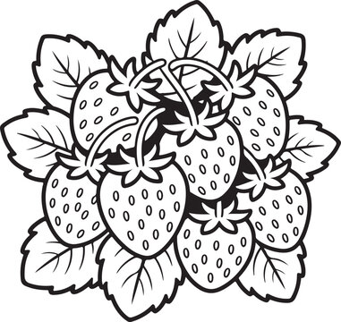 Cluster of ripe strawberries with green leaves hand drawn illustration for food and summer themed projects