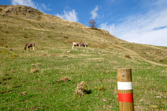 GR11 trail, Valley of Hecho, western valleys, Pyrenean mountain range, province of Huesca, Aragon, Spain, europe