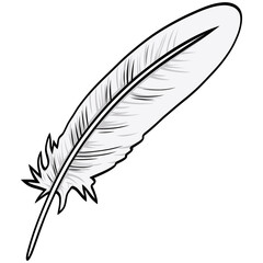 Fototapeta premium Feather Quill Pen Classic Stationery Illustration