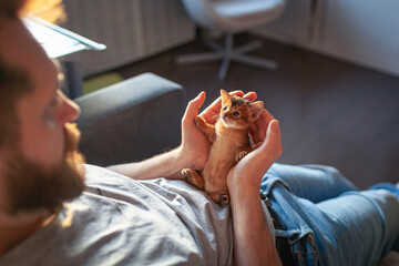Bearded man holding tiny orange kitten in cupped hands lying on couch. Intimate lifestyle portrait. Gentle human-animal bond and home comfort, pet care, adoption and protection. © Natallia