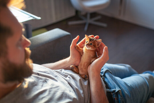 Bearded man holding tiny orange kitten in cupped hands lying on couch. Intimate lifestyle portrait. Gentle human-animal bond and home comfort, pet care, adoption and protection.