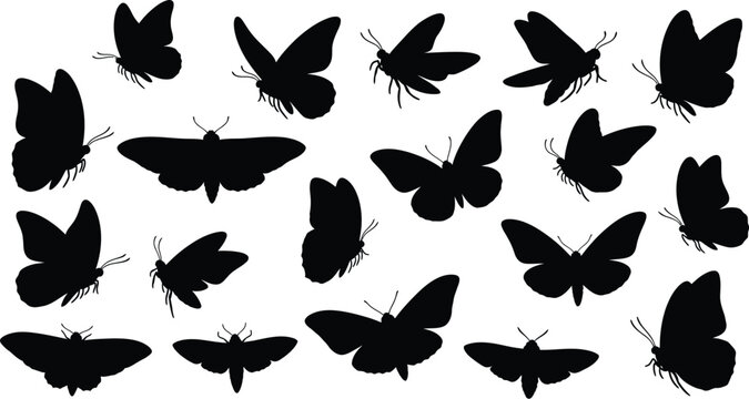 Collection of diverse butterfly and moth shapes in black silhouette