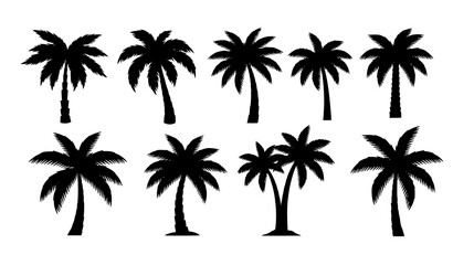 Naklejka premium Black Palm Tree Silhouette Vector Set Tropical Island Tree Icons Isolated on White Background