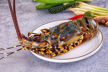 Raw wild fresh spiny lobster