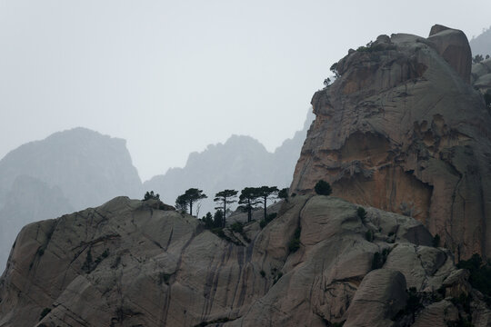 CORSE - Massif de Bavella