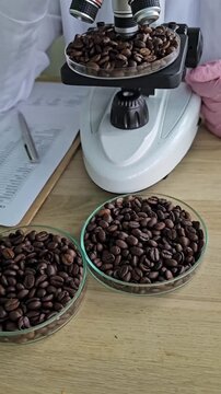 Coffee bean testing at a lab in Colombia for quality and flavor assessment