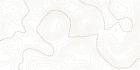 Fototapeta premium topography white background and black line wireframe isoline location diagram world map texture design. Vector Illustration.