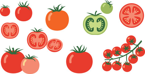 Tomato varieties and slices set. Whole tomatoes, cherry tomato branch and colorful cut sections. Fresh organic vegetable illustration for salad ingredients, cooking food, and farm harvest. © ALINA