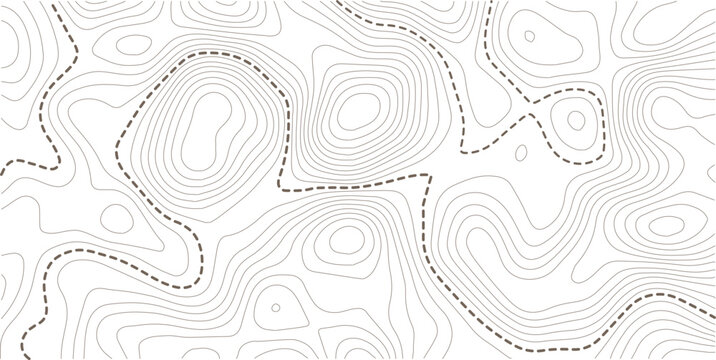 topography white background and black line wireframe isoline location diagram world map texture design. Vector Illustration.
