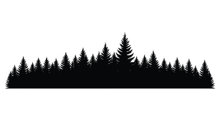 Dense forest of evergreen trees presented as a dark silhouette © MST