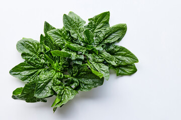 Obraz premium a bunch of fresh spinach on a white background