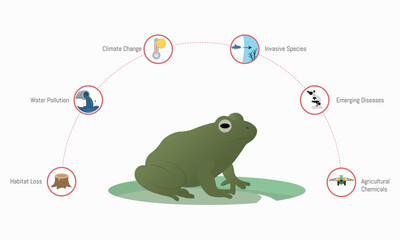 Obraz premium Threats to Amphibians Infographic – Environmental Conservation and Biodiversity