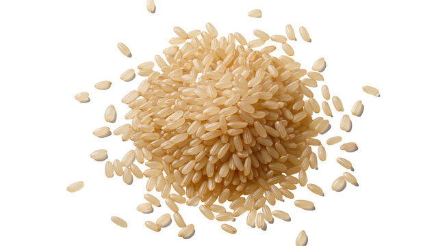 Isolated pile of scattered brown rice grains, healthy nutritious uncooked whole grain food ingredient.