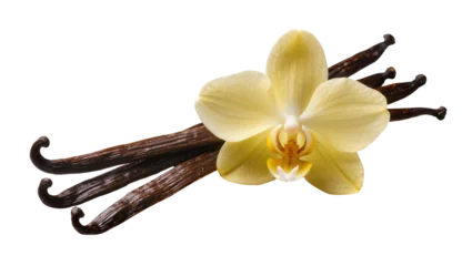 Fotobehang Orchidee Isolated vanilla orchid flower and a selection of fragrant vanilla beans for baking and flavor.  © Gael