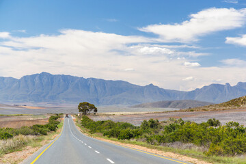 Naklejka premium Asphalt road in South Africa surrounded by fields