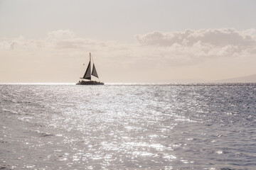 Fototapeta premium Sailboat on ocean horizon in California