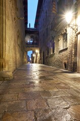 Obraz premium Pont del Bisbe in Barcelona Gothic Quarter at dusk with glistening cobblestone street