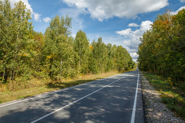 Fototapeta premium Country asphalt road in summer landscape