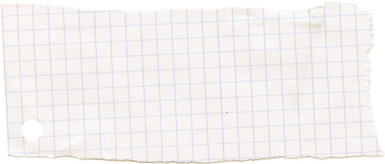 Checkered graph line torn ripped paper. Scrapbook collage crumpled piece. Note memo sheet