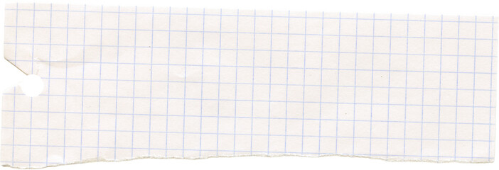 Checkered graph line torn ripped paper. Scrapbook collage crumpled piece. Note memo sheet