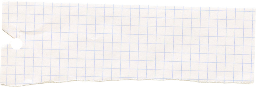 Checkered graph line torn ripped paper. Scrapbook collage crumpled piece. Note memo sheet