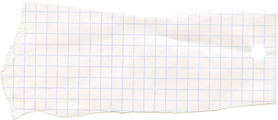 Checkered graph line torn ripped paper. Scrapbook collage crumpled piece. Note memo sheet