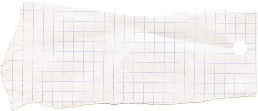 Checkered graph line torn ripped paper. Scrapbook collage crumpled piece. Note memo sheet