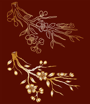Free hand Sakura flower vector set, Beautiful line art Peach blossom isolate on white background.Cherry blossom illustration set.Element for weding card or printing on backdrop.