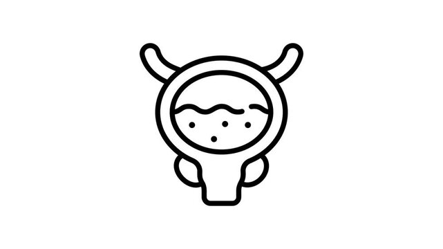 Ready to use linear icon animation of urinary bladder organ