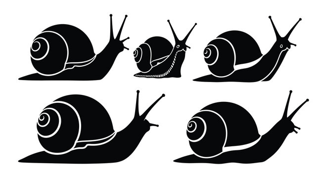Stylized black and white illustration of six garden snails crawling