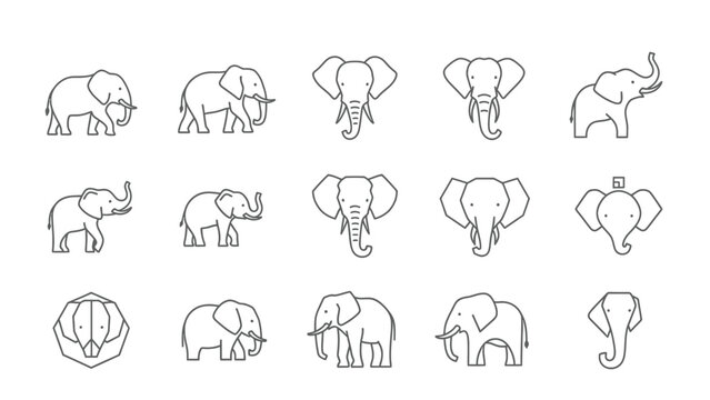 Set of elephant icons, large mammal, geometric, outline, line, style, vector, illustration, african, indian