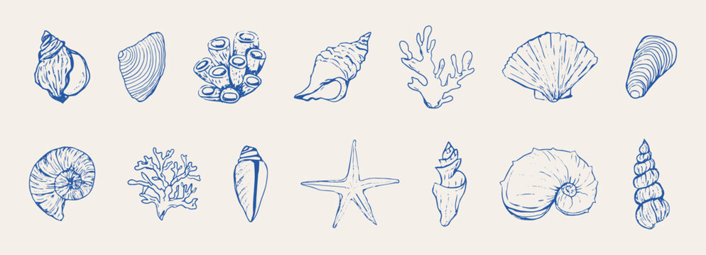Blue seashells and starfish set sketch hand drawn illustrations, coastal illustration. Minimalist line art. Summer vacation design elements for trendy prints, 