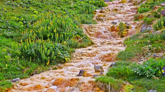 Serene stream cascades over rocky terrain, covered with iron-oxidizing bacteria sediment. Natural beauty creates a refreshing outdoor atmosphere.