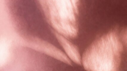 Fototapeta premium Pink cloth wrinkled showing light and shadow in studio closeup