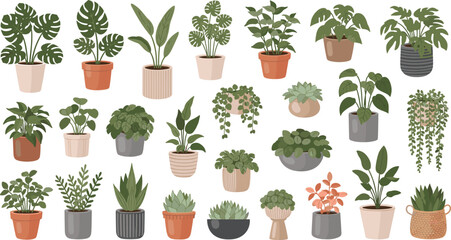 Cartoon Indoor Houseplants Collection with Potted Tropical Foliage Hanging Greenery and Succulent Planters for Home Decor Botanical Vector Illustration © MdMunzurul