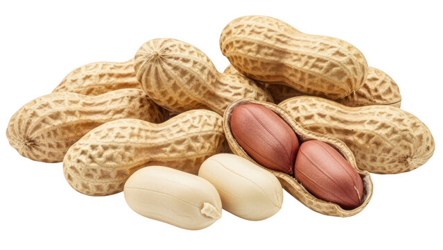 Collection of peanuts in shells isolated on transparent background