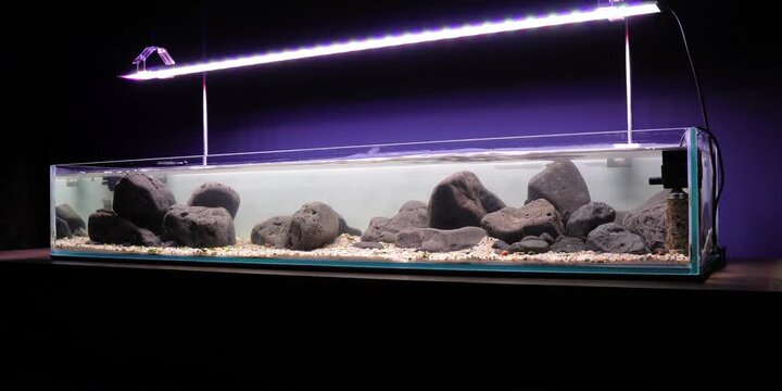 Aquascaping shallow aquarium