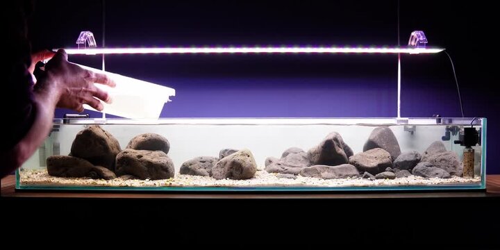 Aquascaping shallow aquarium