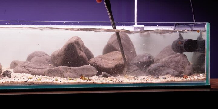 Aquascaping shallow aquarium