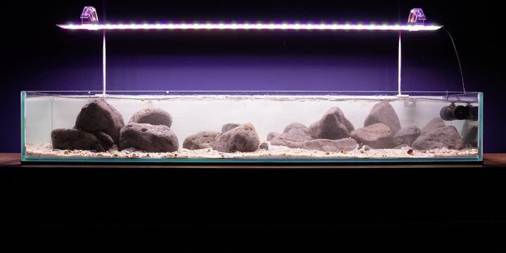 Aquascaping shallow aquarium