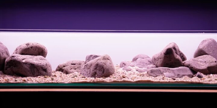 Aquascaping shallow aquarium