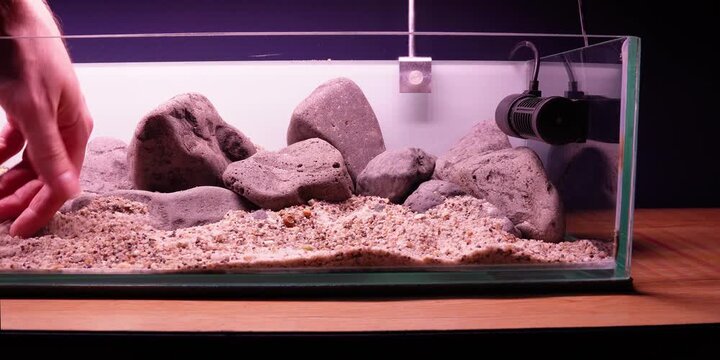 Aquascaping shallow aquarium