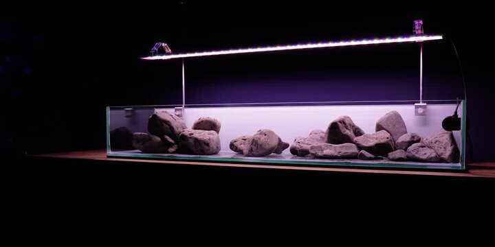Aquascaping shallow aquarium