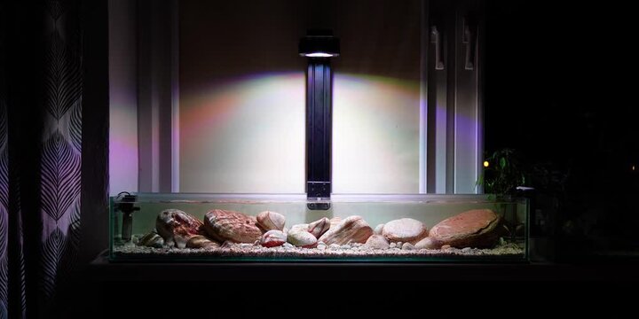 Aquascaping shallow aquarium